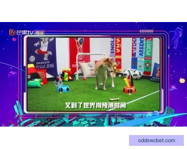 围绕世界杯竞猜游戏打造全民参与的趣味互动与智慧博弈盛宴