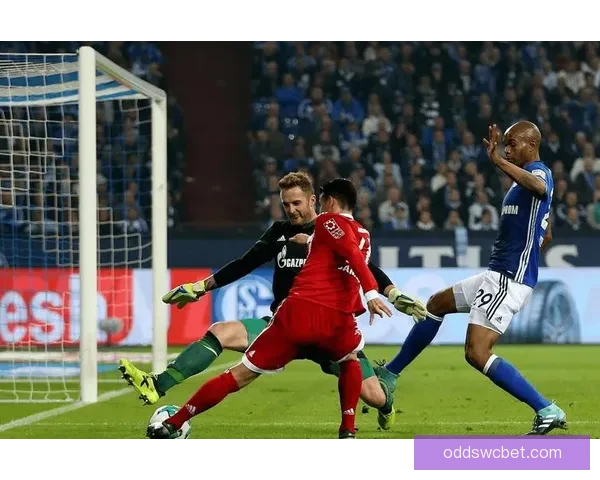 格雷戈里奇因公平竞赛行为获赞 裁判阿泰金因判罚遭到批评